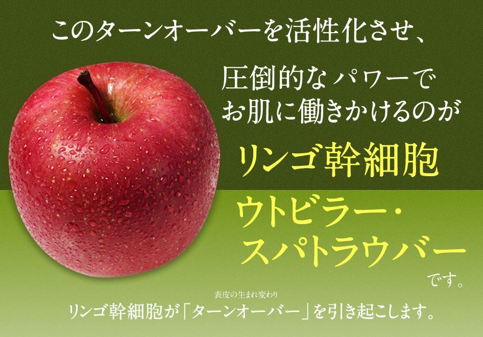 スキンフェアリー公式