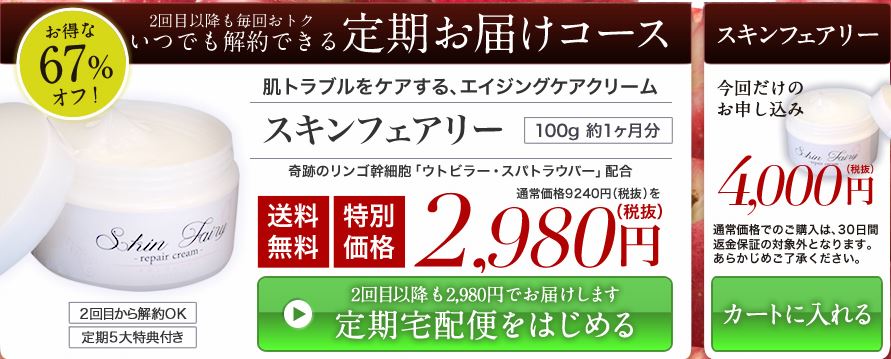 スキンフェアリー効果・口コミ