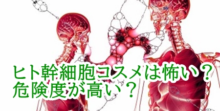 ヒト幹細胞コスメは怖い?危険度が高い?